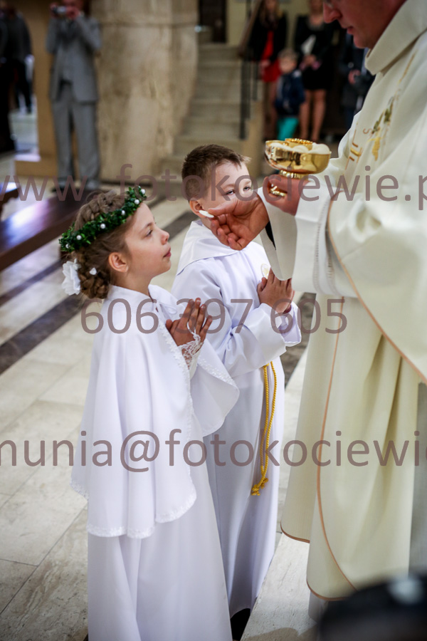 NUMER FOTOGRAFII: 1868_IMG_8570