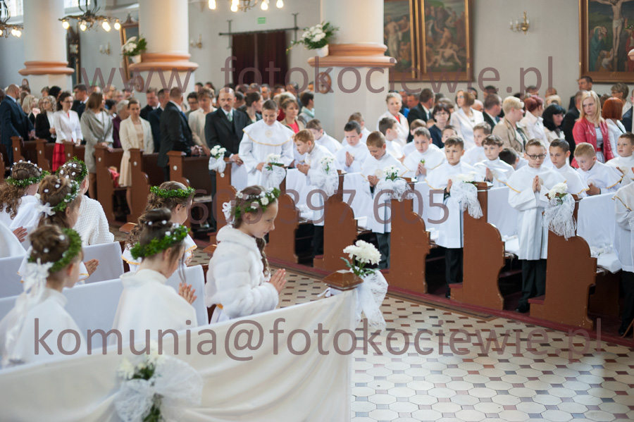 NUMER FOTOGRAFII: 192__FIL2313