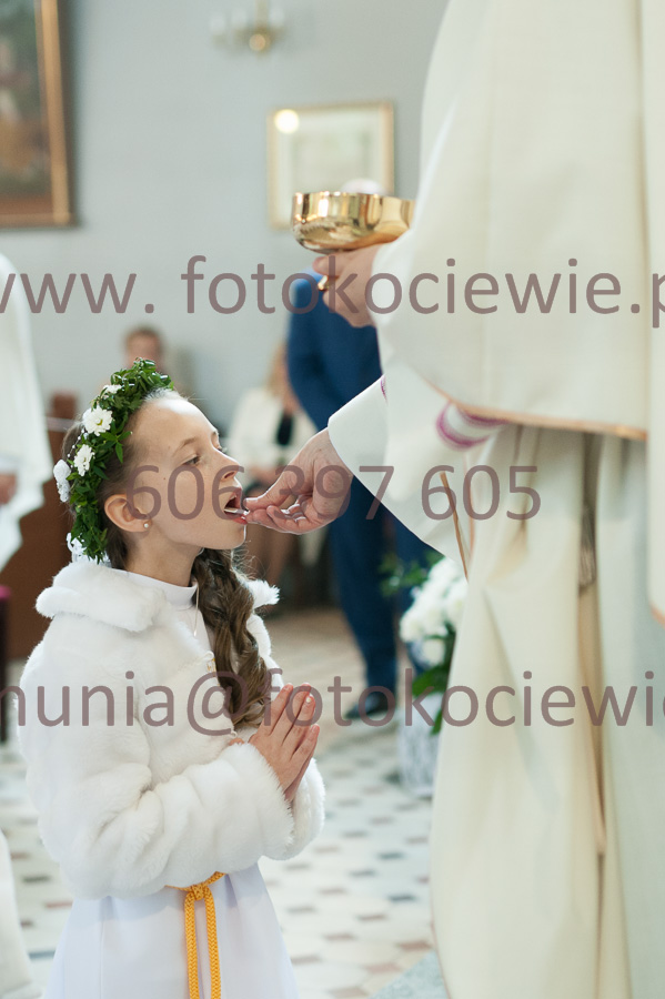 NUMER FOTOGRAFII: 195__FIL2316