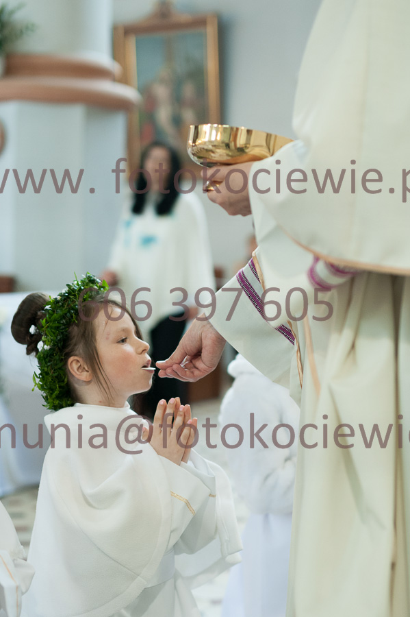 NUMER FOTOGRAFII: 197__FIL2318