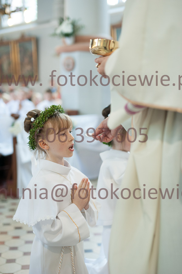 NUMER FOTOGRAFII: 199__FIL2320
