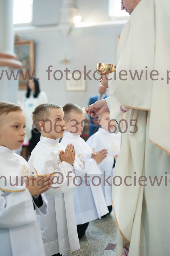 NUMER FOTOGRAFII: 203__FIL2325