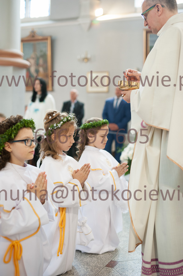 NUMER FOTOGRAFII: 207__FIL2329