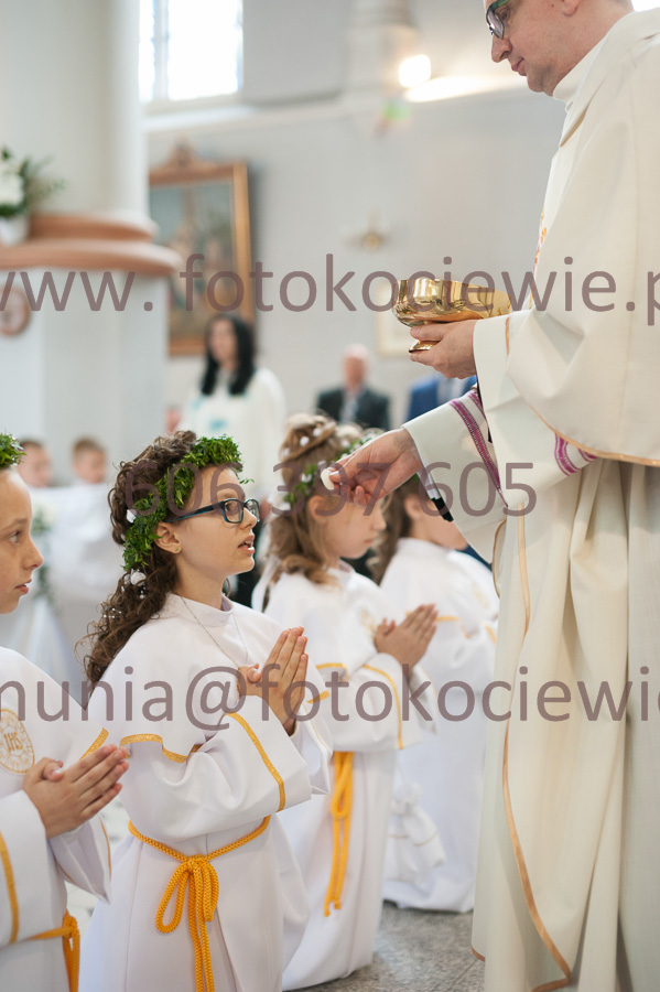 NUMER FOTOGRAFII: 208__FIL2330