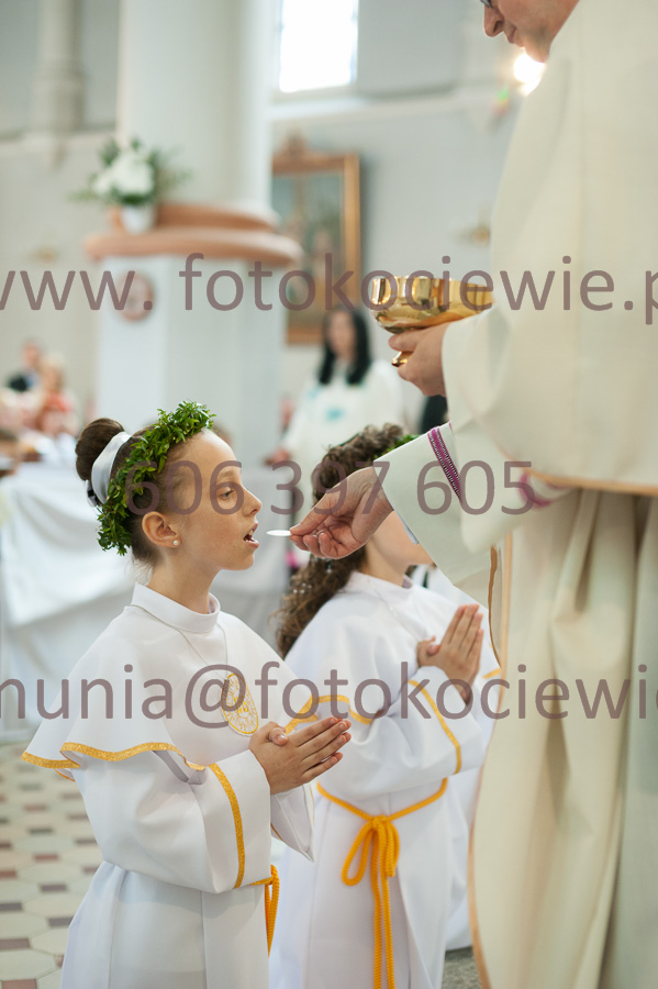 NUMER FOTOGRAFII: 209__FIL2331