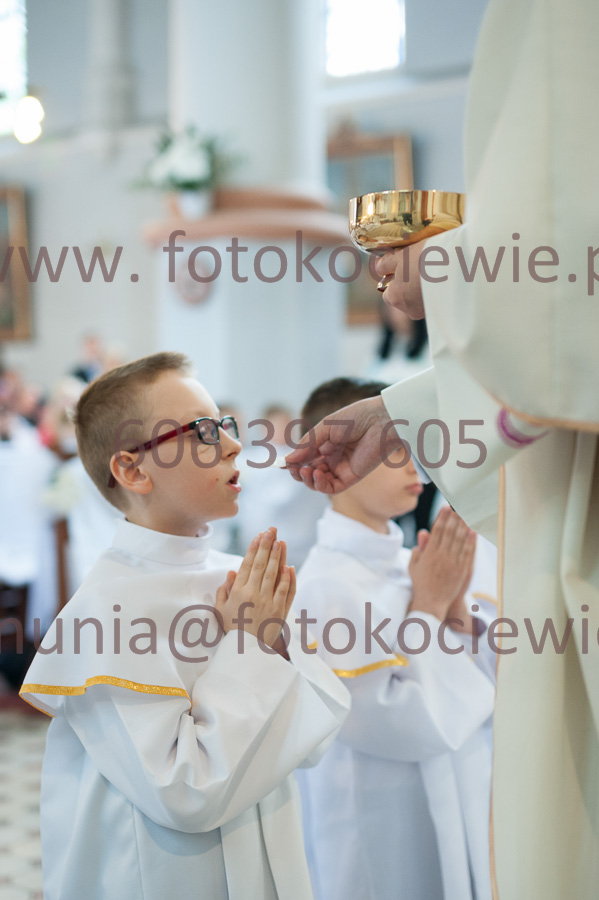 NUMER FOTOGRAFII: 210__FIL2332