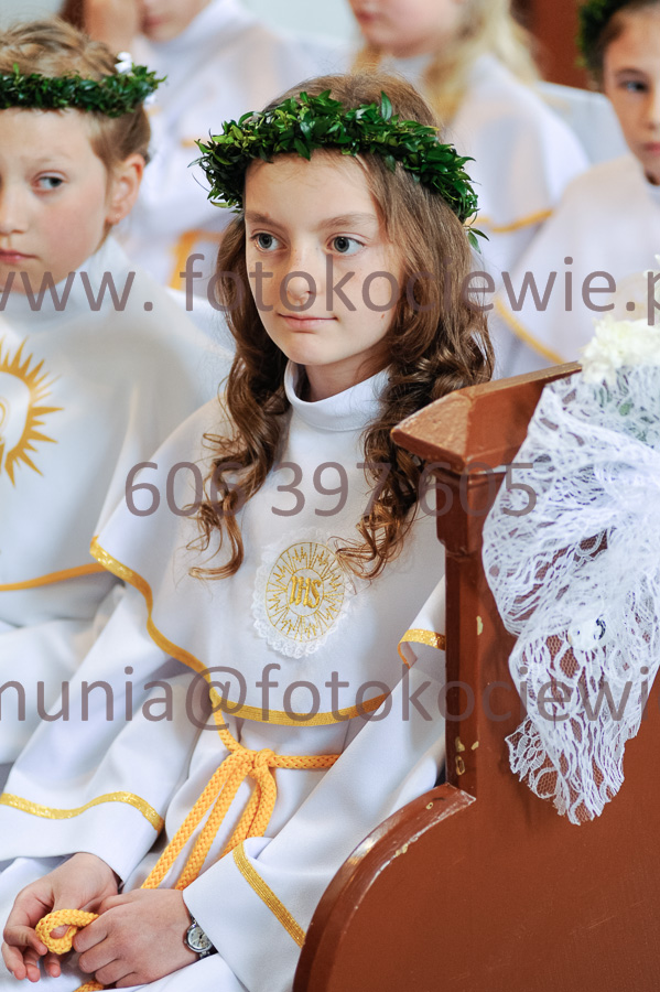 NUMER FOTOGRAFII: 355__FIL2532