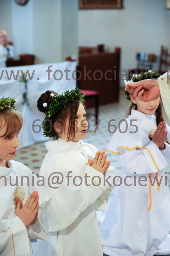 NUMER FOTOGRAFII: 364__FIL2547