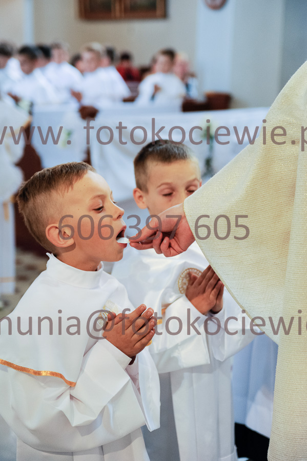 NUMER FOTOGRAFII: 367__FIL2550