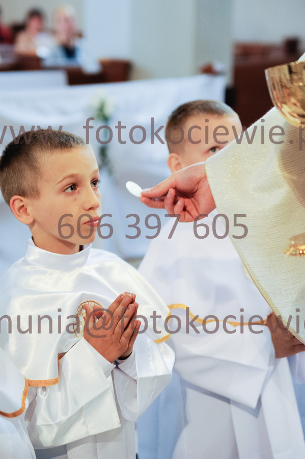NUMER FOTOGRAFII: 368__FIL2551