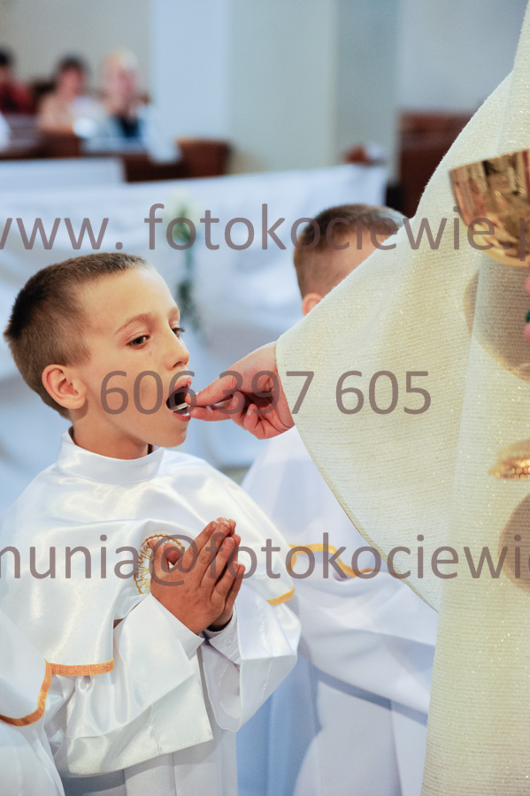 NUMER FOTOGRAFII: 369__FIL2552
