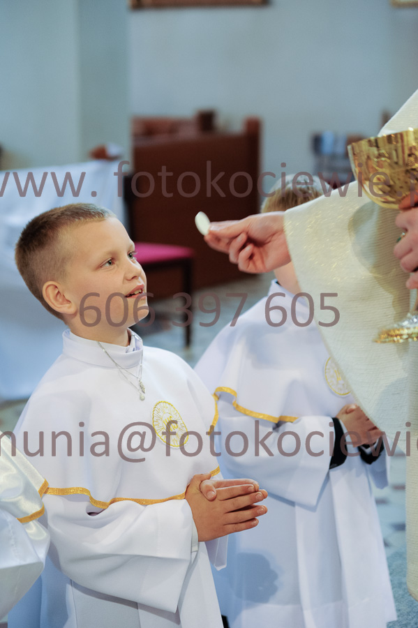 NUMER FOTOGRAFII: 372__FIL2555