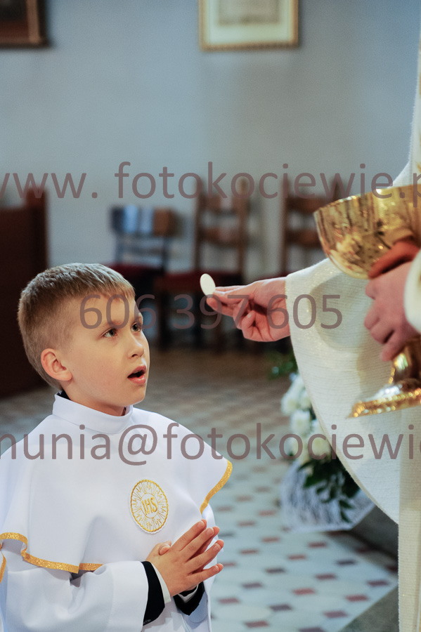 NUMER FOTOGRAFII: 374__FIL2557