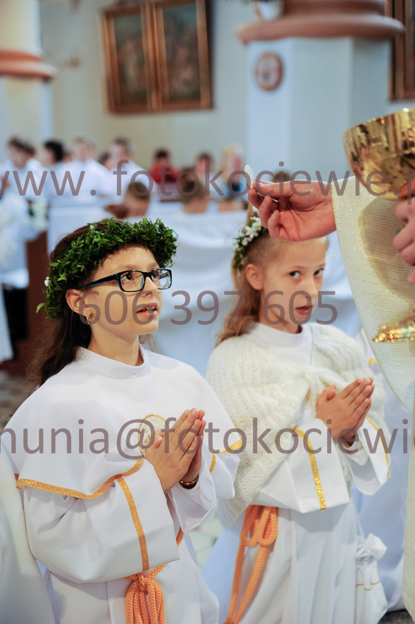 NUMER FOTOGRAFII: 376__FIL2559