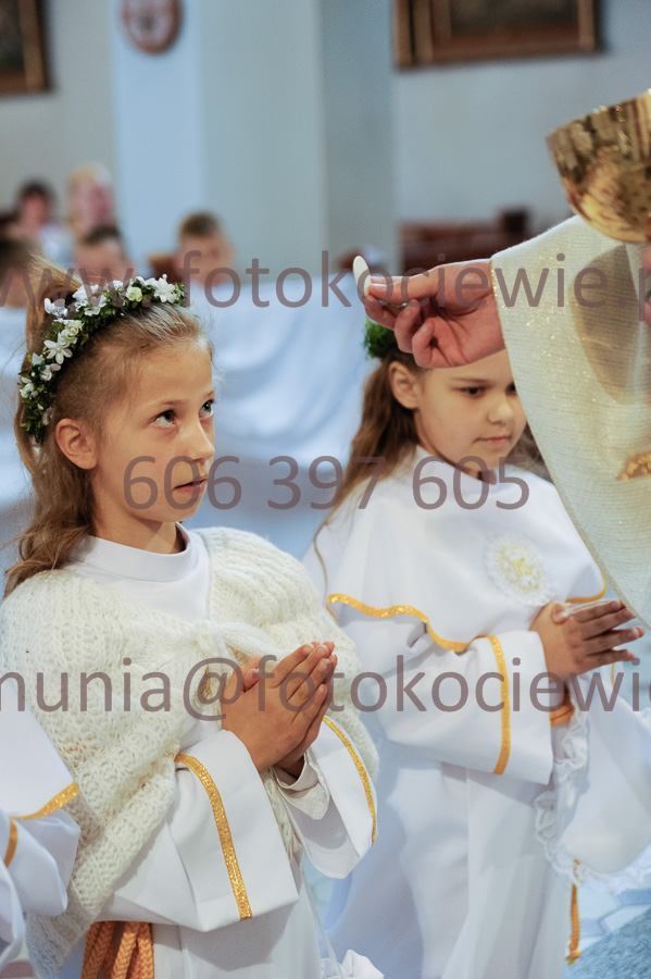 NUMER FOTOGRAFII: 377__FIL2560