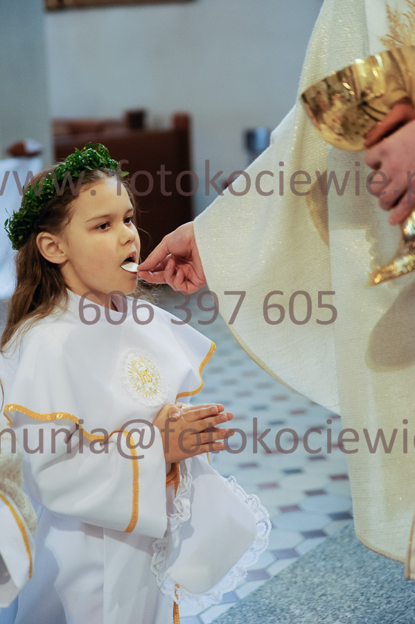 NUMER FOTOGRAFII: 379__FIL2562