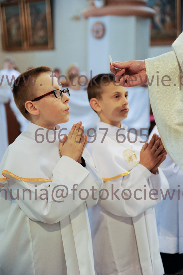 NUMER FOTOGRAFII: 381__FIL2564