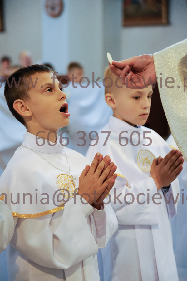 NUMER FOTOGRAFII: 382__FIL2565
