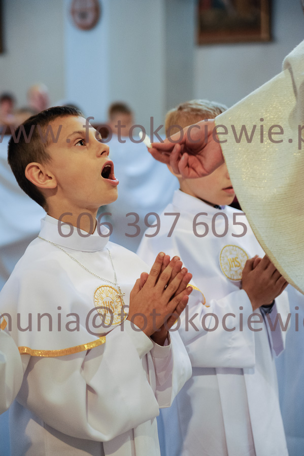 NUMER FOTOGRAFII: 383__FIL2566
