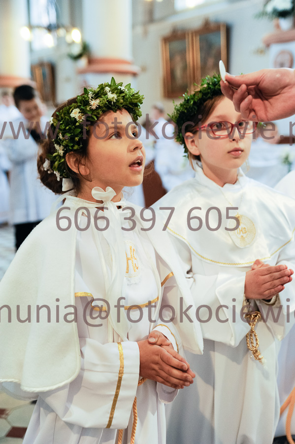 NUMER FOTOGRAFII: 388__FIL2571