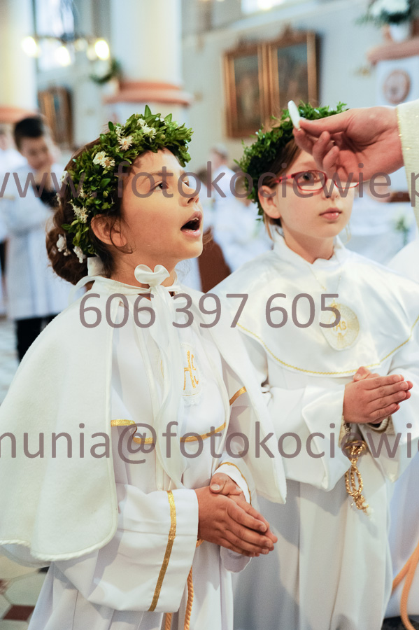 NUMER FOTOGRAFII: 389__FIL2572