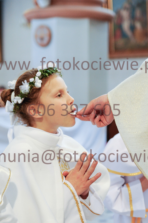 NUMER FOTOGRAFII: 392__FIL2576