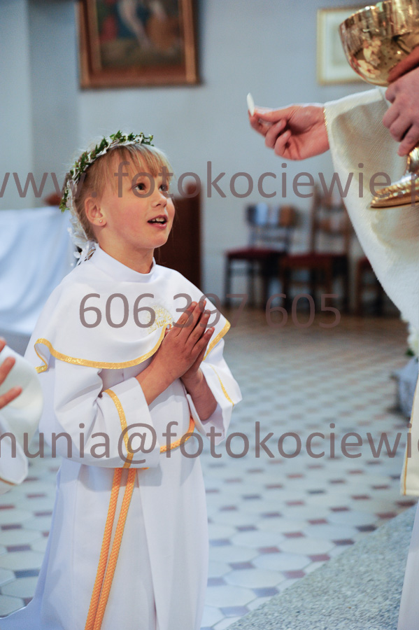 NUMER FOTOGRAFII: 393__FIL2577