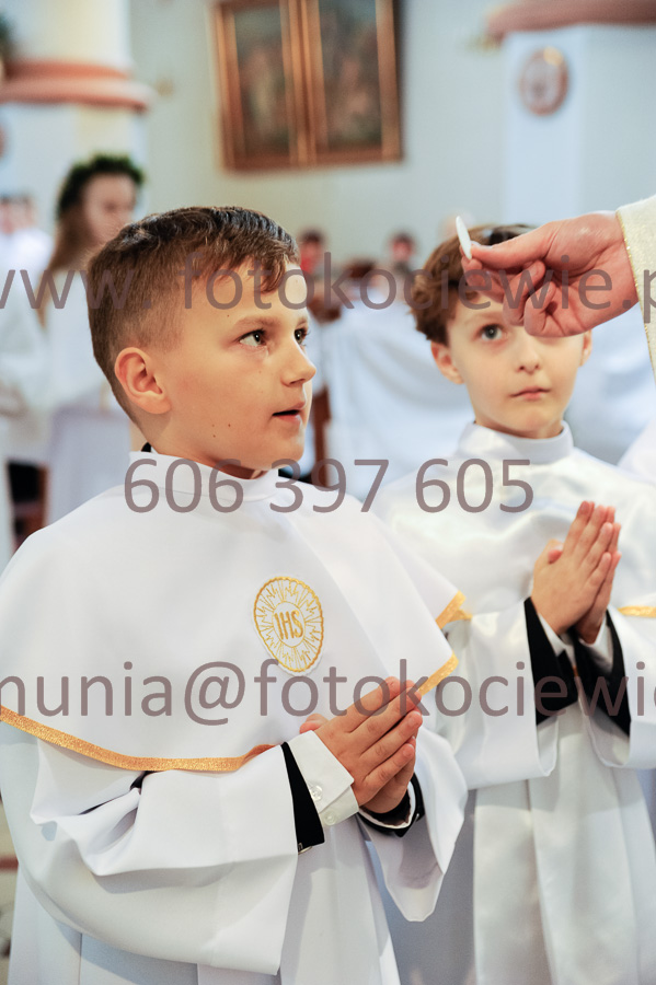 NUMER FOTOGRAFII: 396__FIL2580