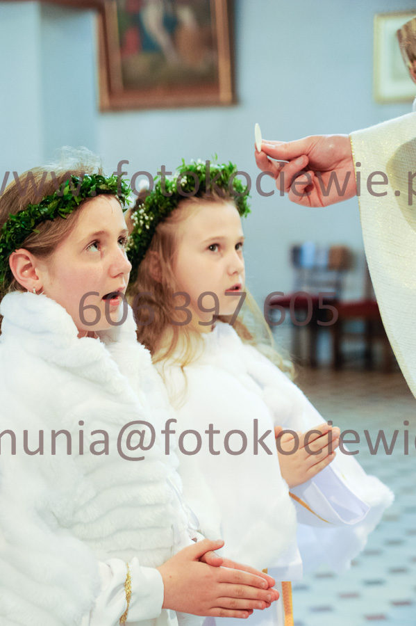 NUMER FOTOGRAFII: 409__FIL2594