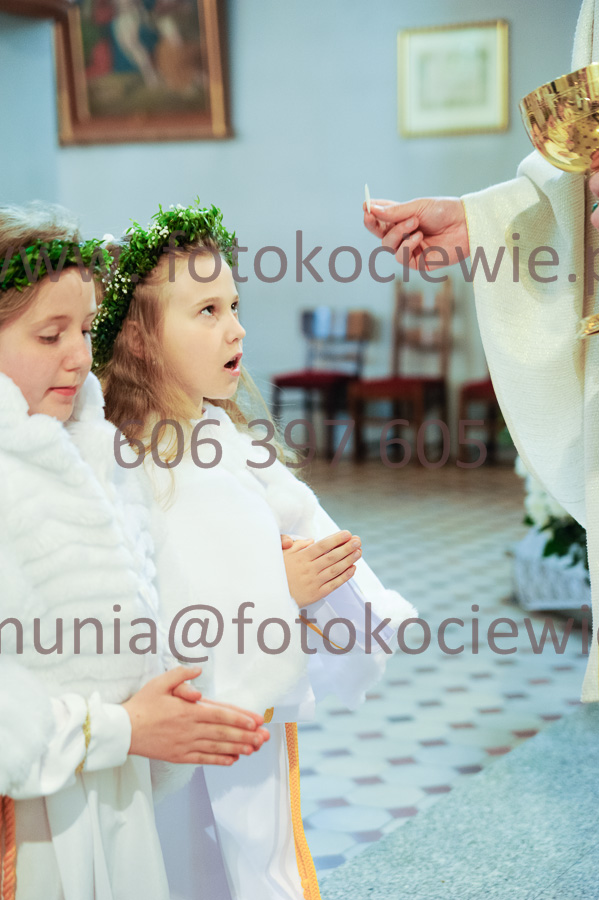 NUMER FOTOGRAFII: 411__FIL2597