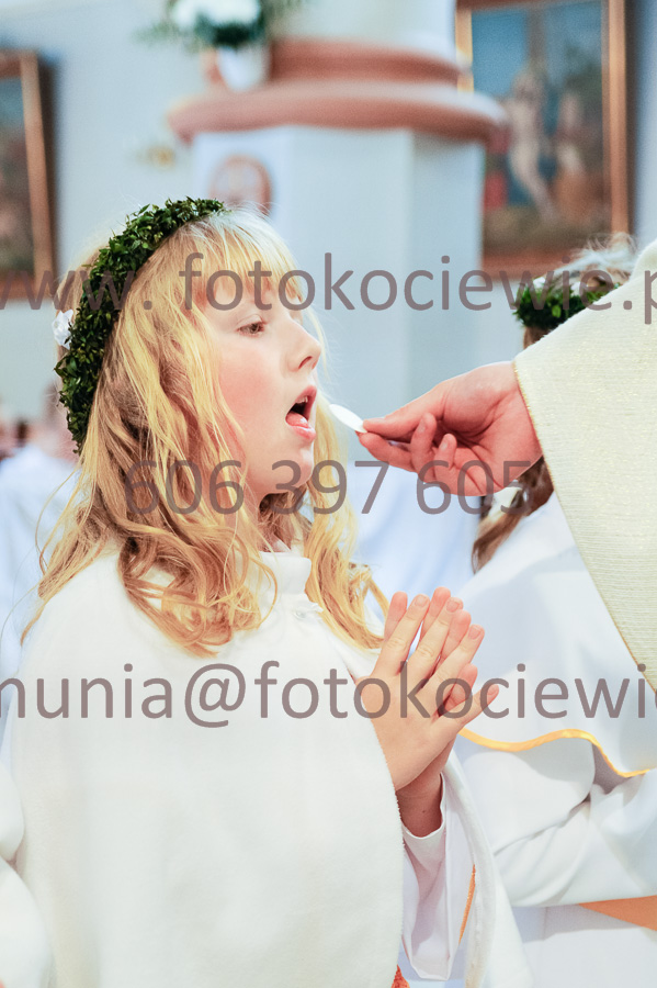 NUMER FOTOGRAFII: 419__FIL2608