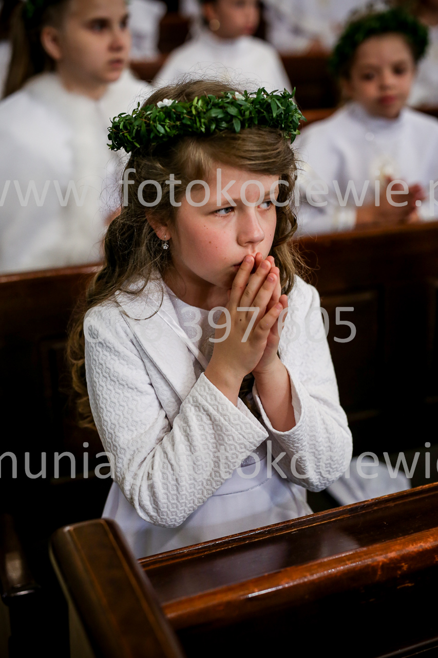 1464_IMG_0245