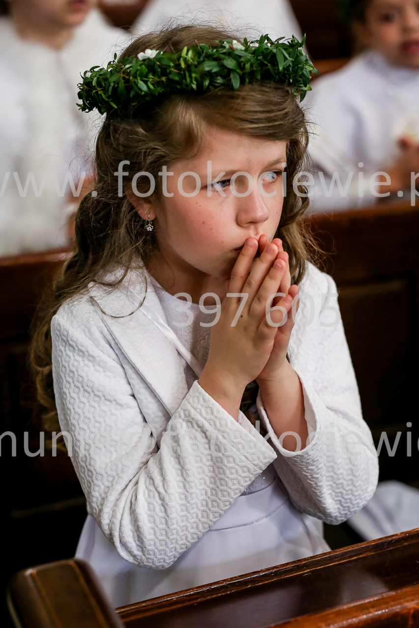1465_IMG_0246