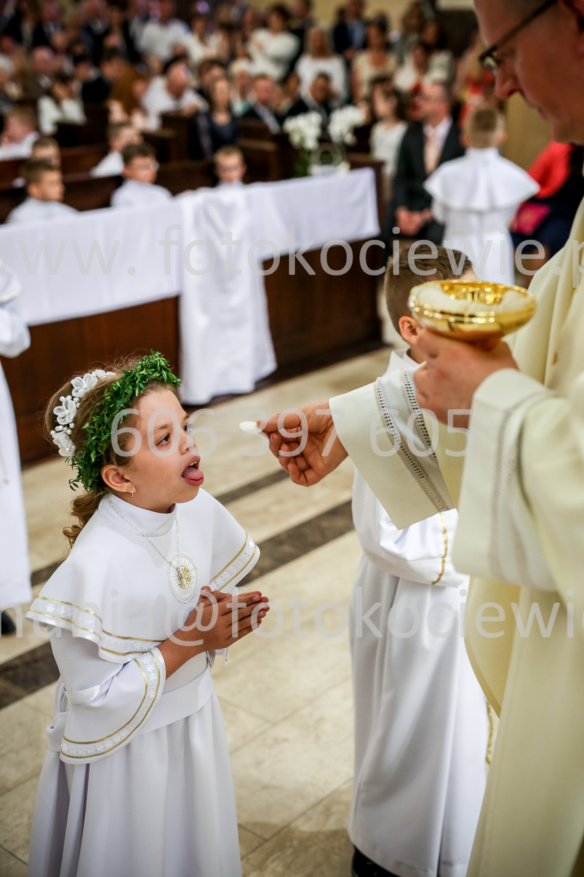 1786_IMG_0533