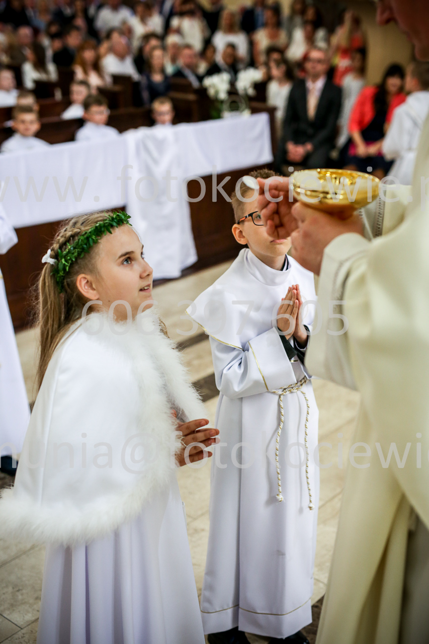 1790_IMG_0537