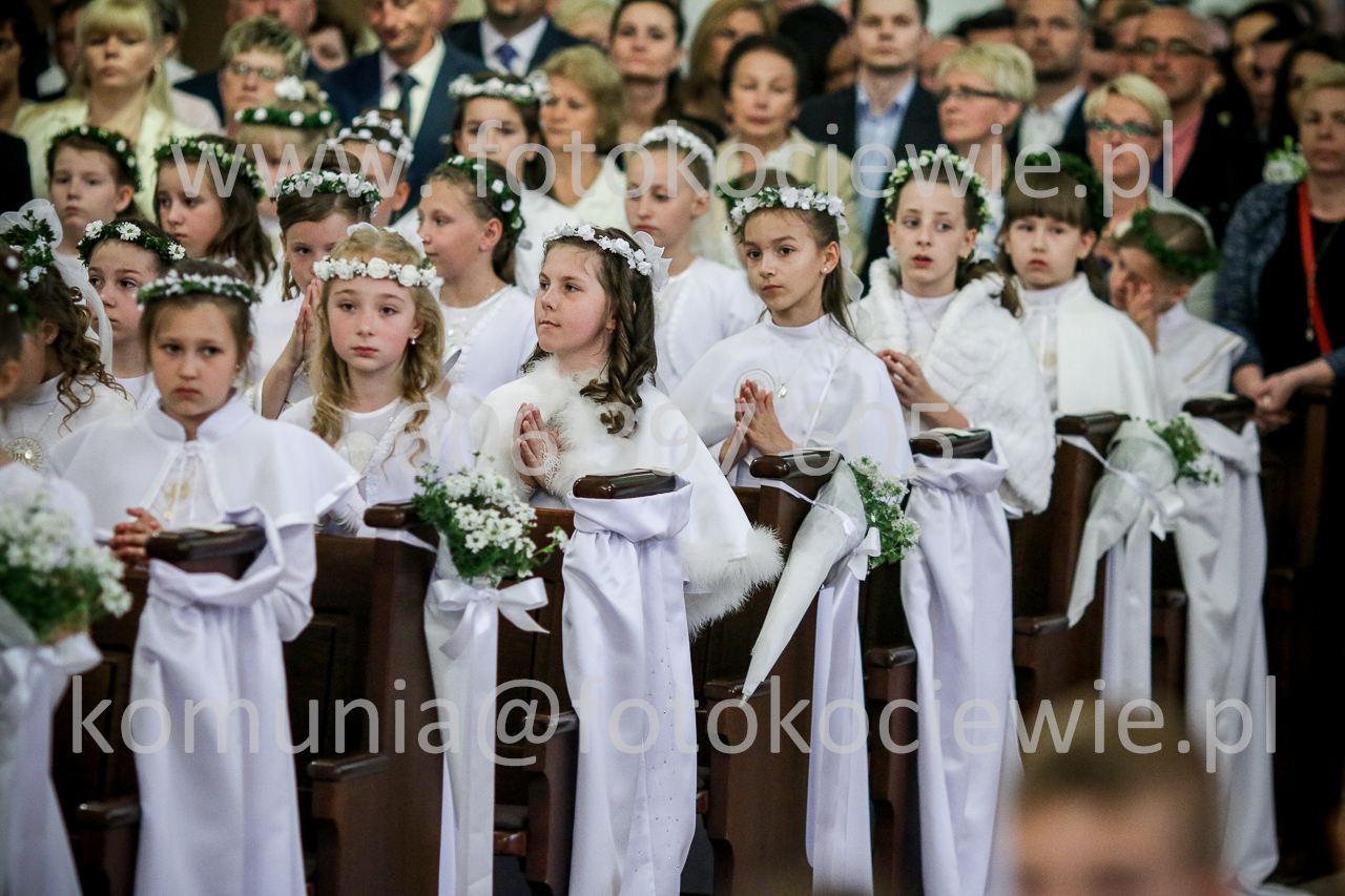 1255_IMG_5154