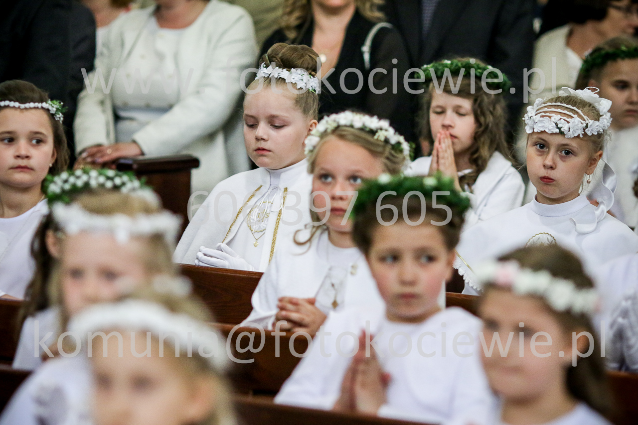 1260_IMG_5159