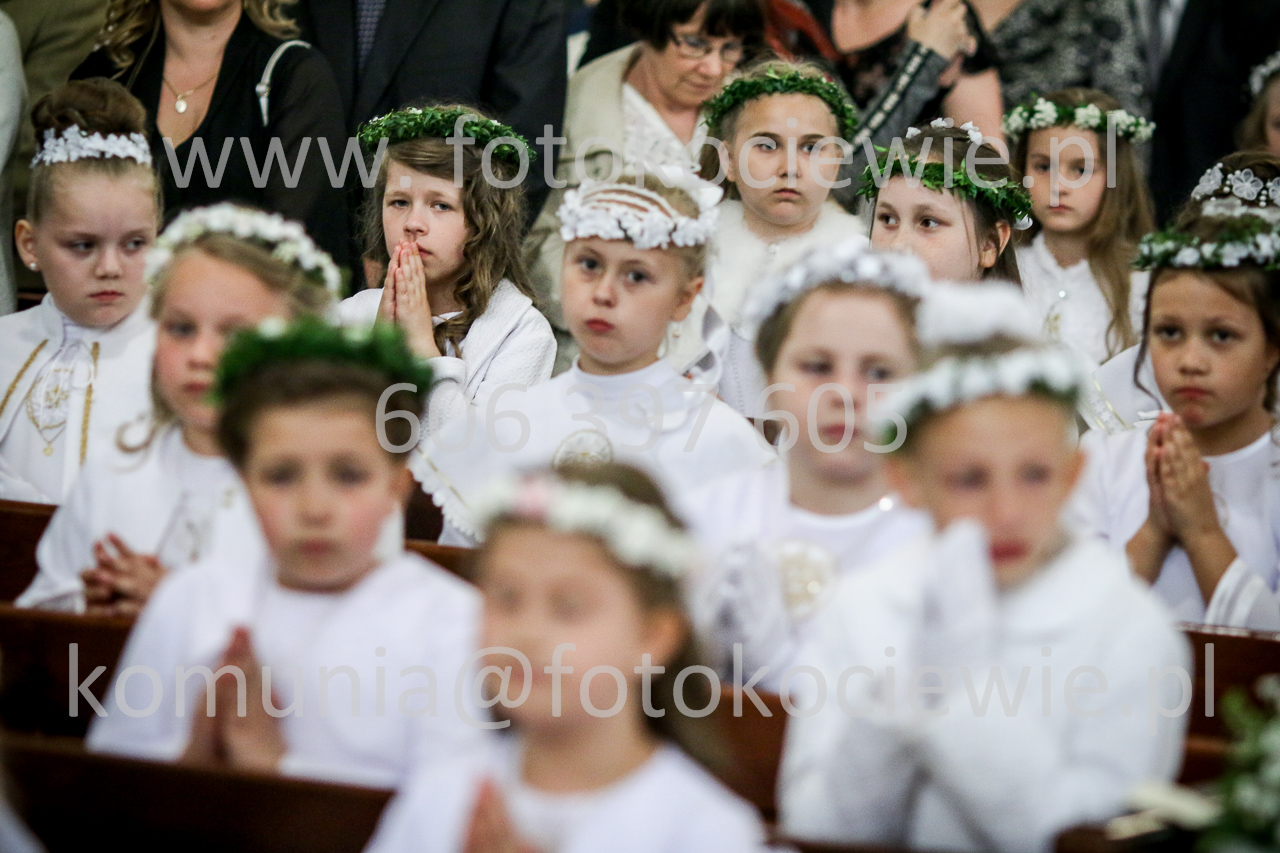 1261_IMG_5160