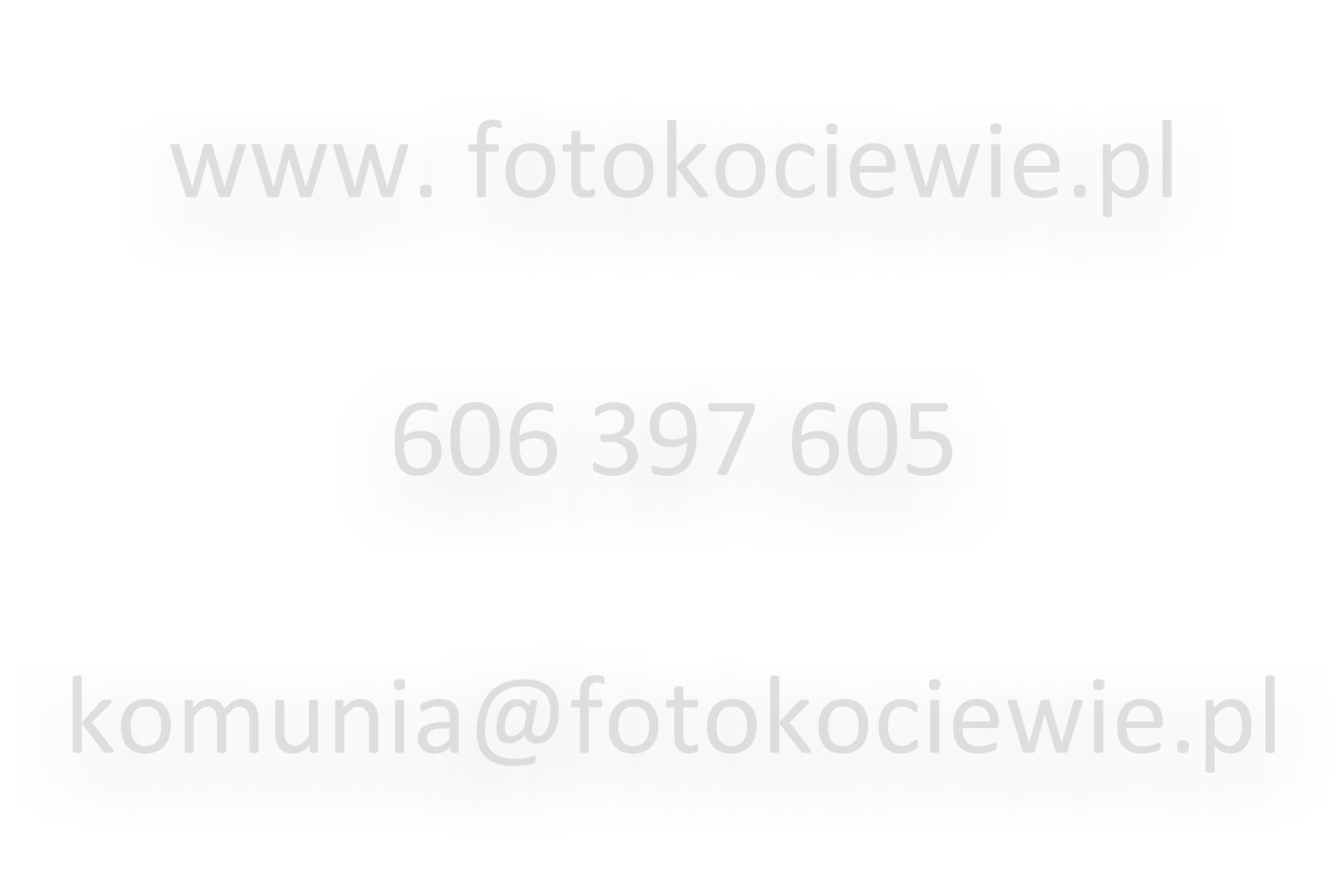 1329_IMG_5230