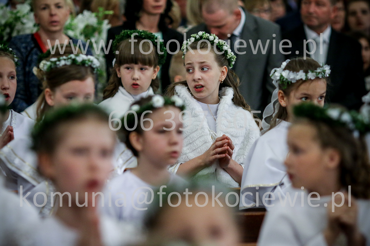 1334_IMG_5235