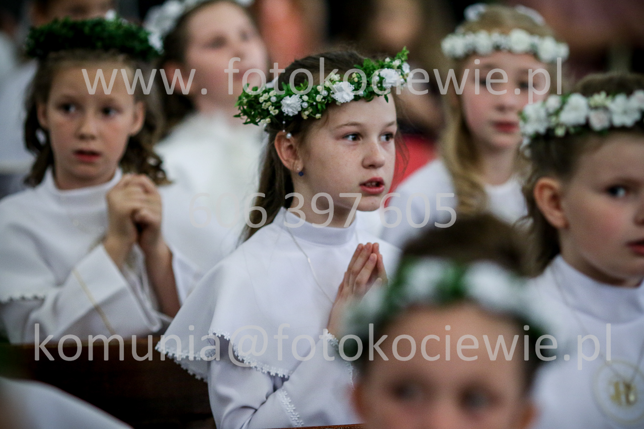 1335_IMG_5236