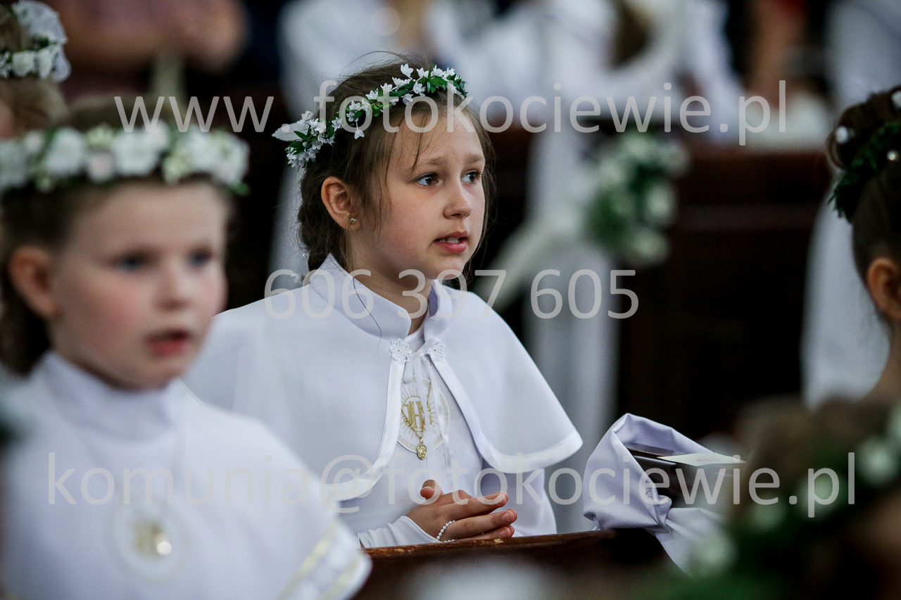 1336_IMG_5237