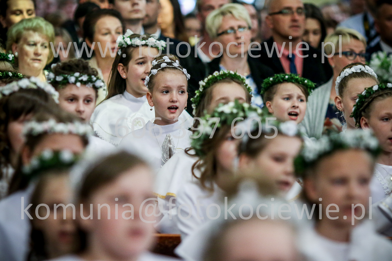 1342_IMG_5244