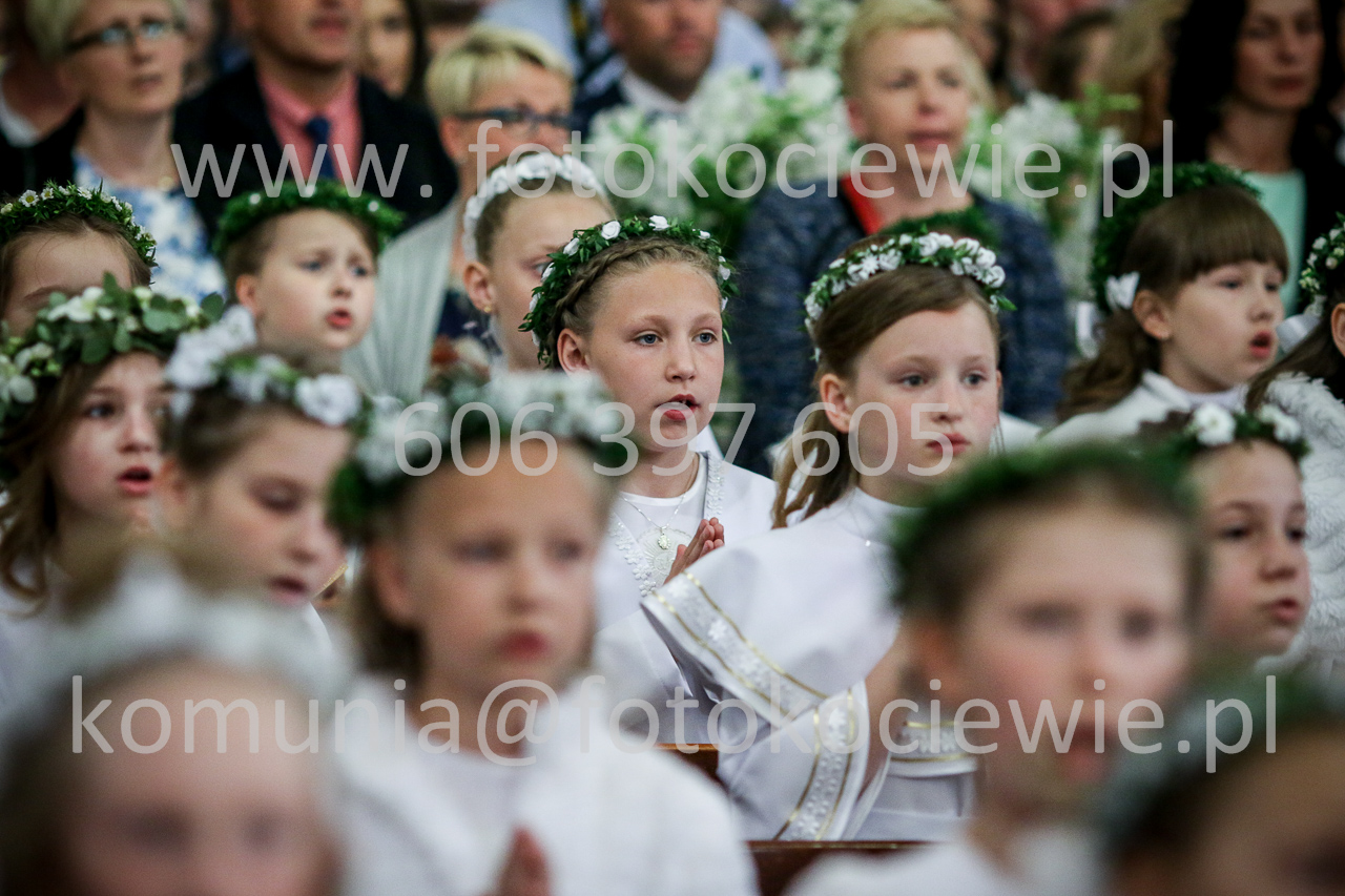 1343_IMG_5245