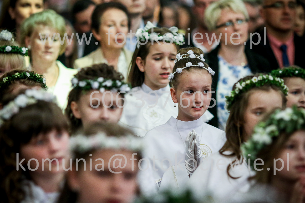 1351_IMG_5254