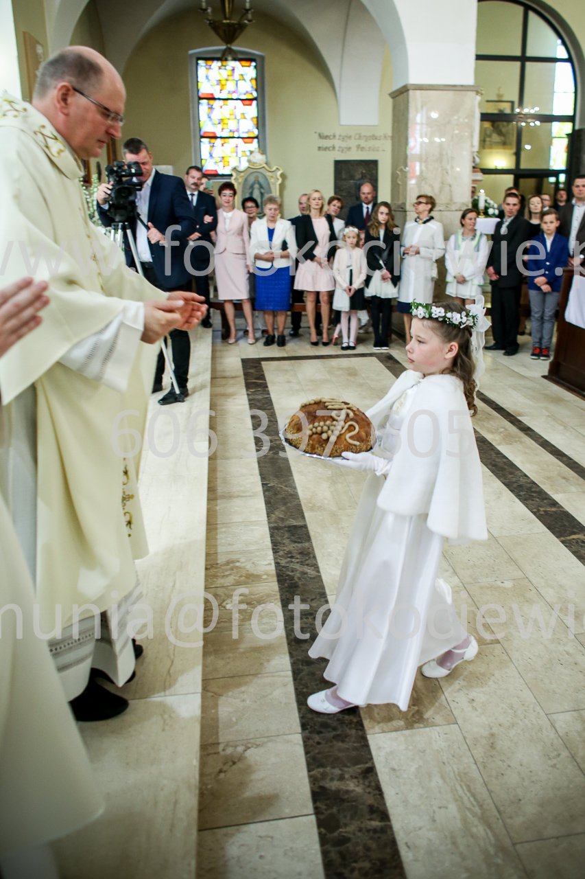 485_IMG_9499