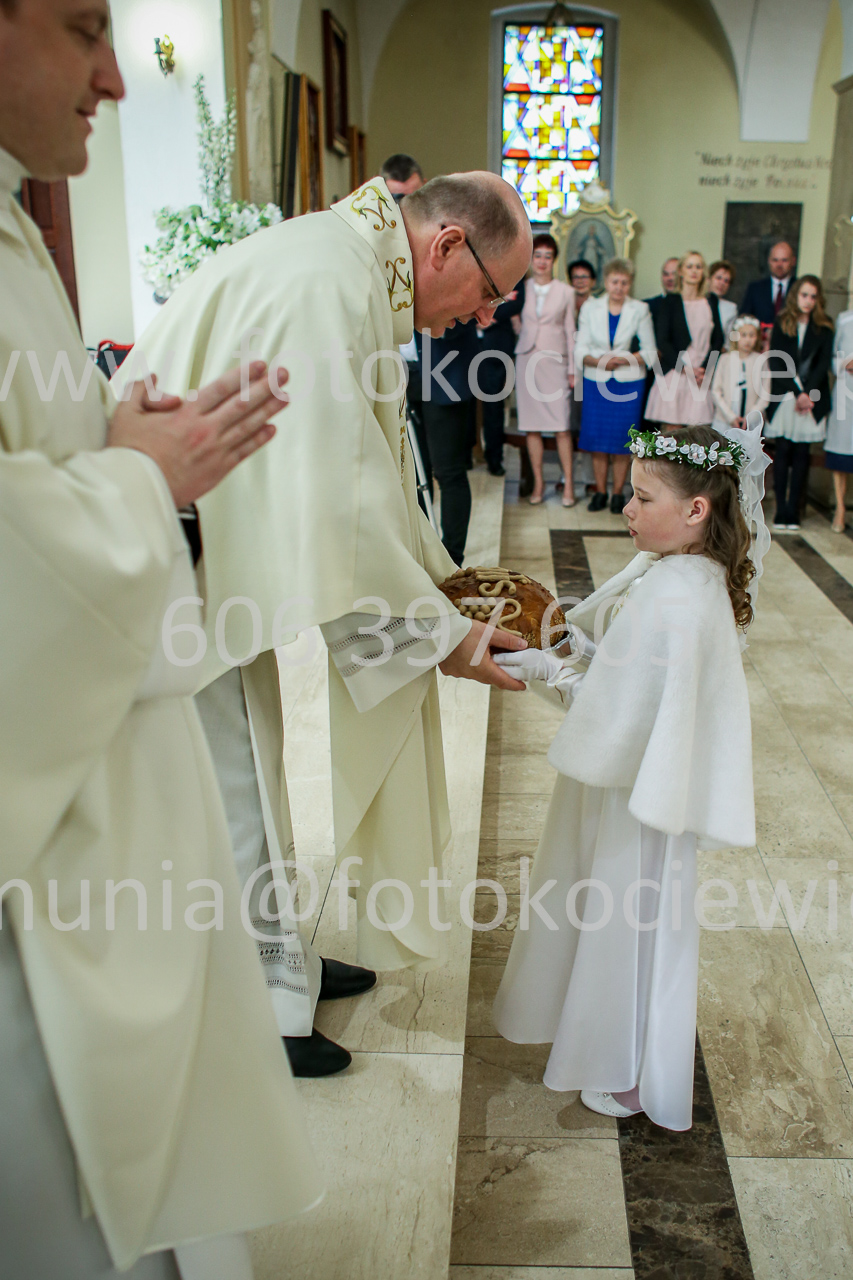 487_IMG_9501