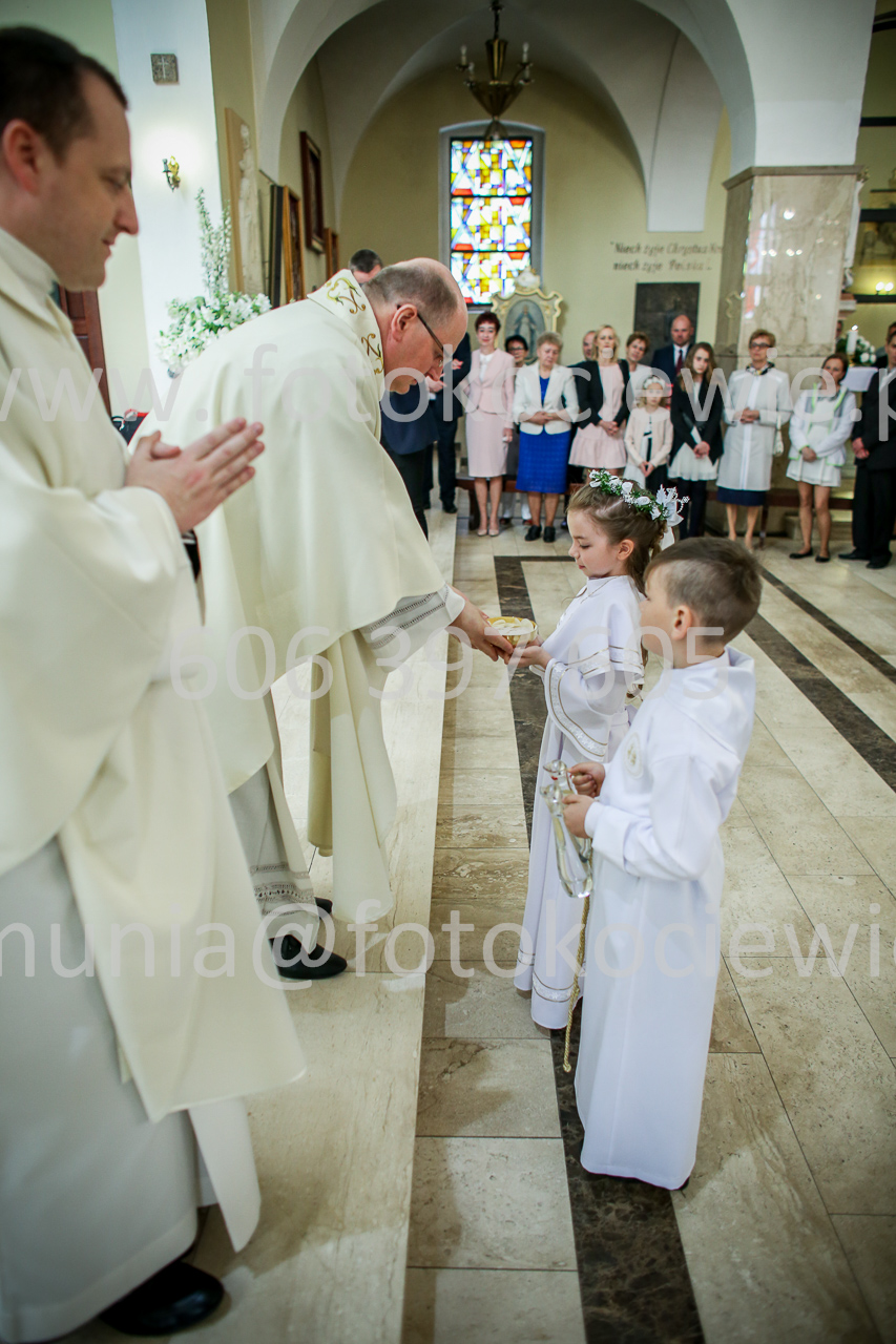 491_IMG_9505