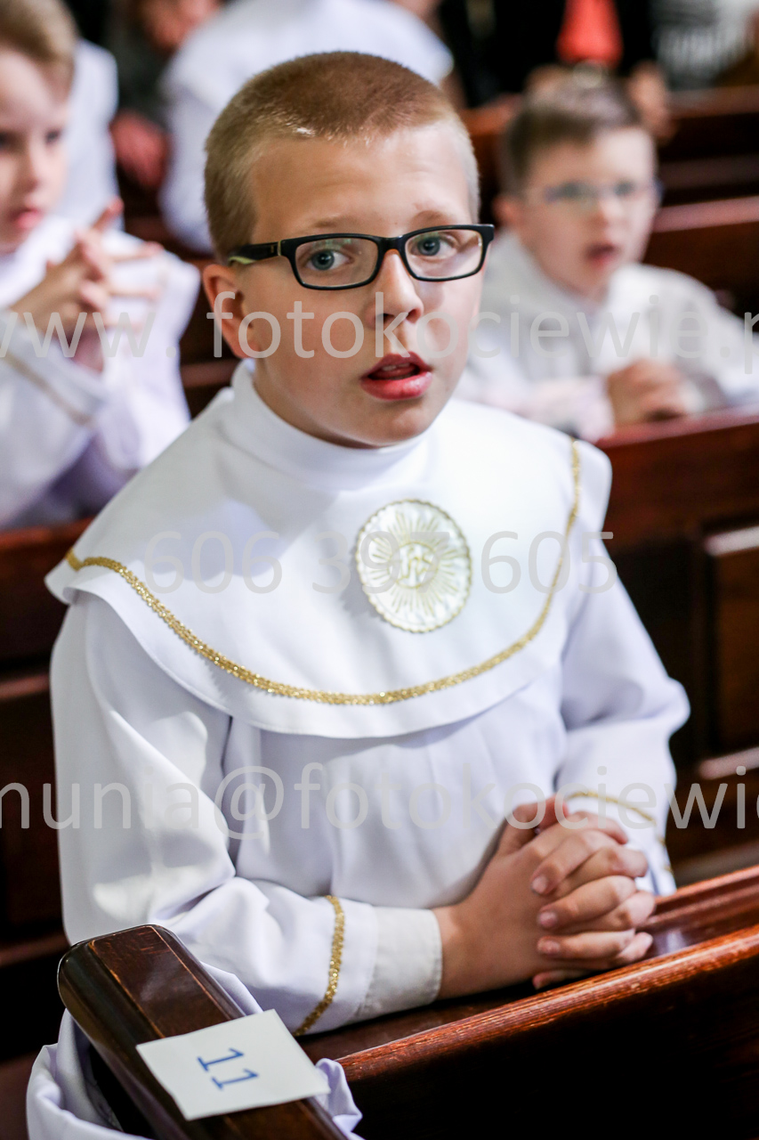 445_IMG_9558