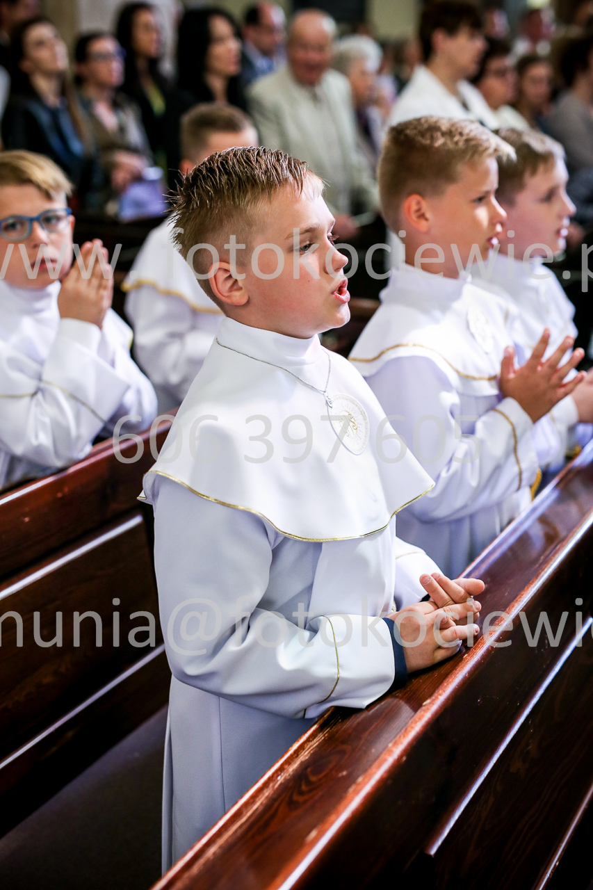 446_IMG_9559